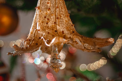 Close-up of christmas decoration at home