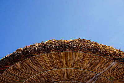 Low angle view of palm tree against clear blue sky