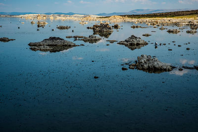 Blue sky mono lake midday, rocks in blue water white mineral deposits