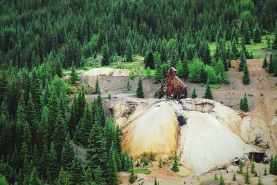 High angle view of goldmine in forest