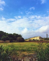 Scenic view of grassy field against cloudy sky