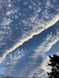 Low angle view of silhouette trees against sky