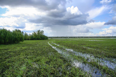 Scenic view of field against sky