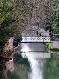 Reflection of trees in river