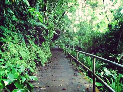 Majayjay falls,laguna