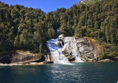 Scenic view of waterfall in forest