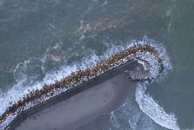 Aerial view of sea