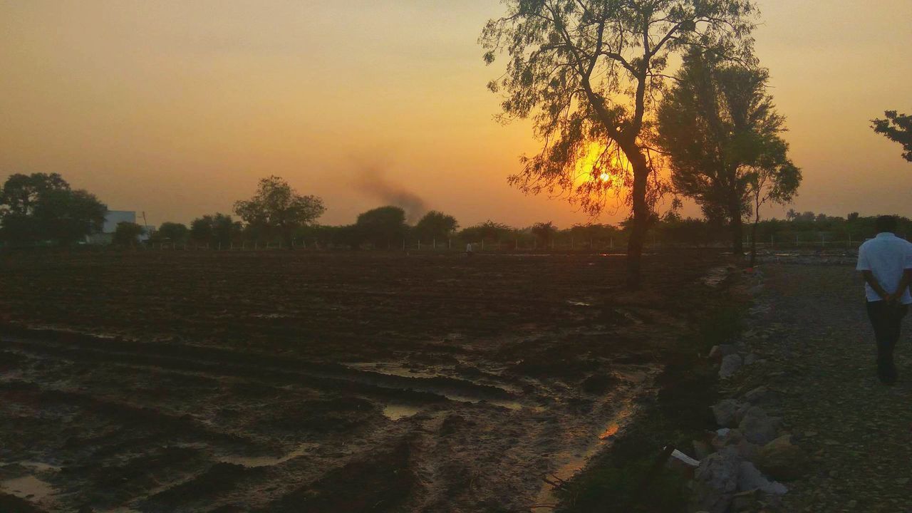 MAN ON FIELD DURING SUNSET