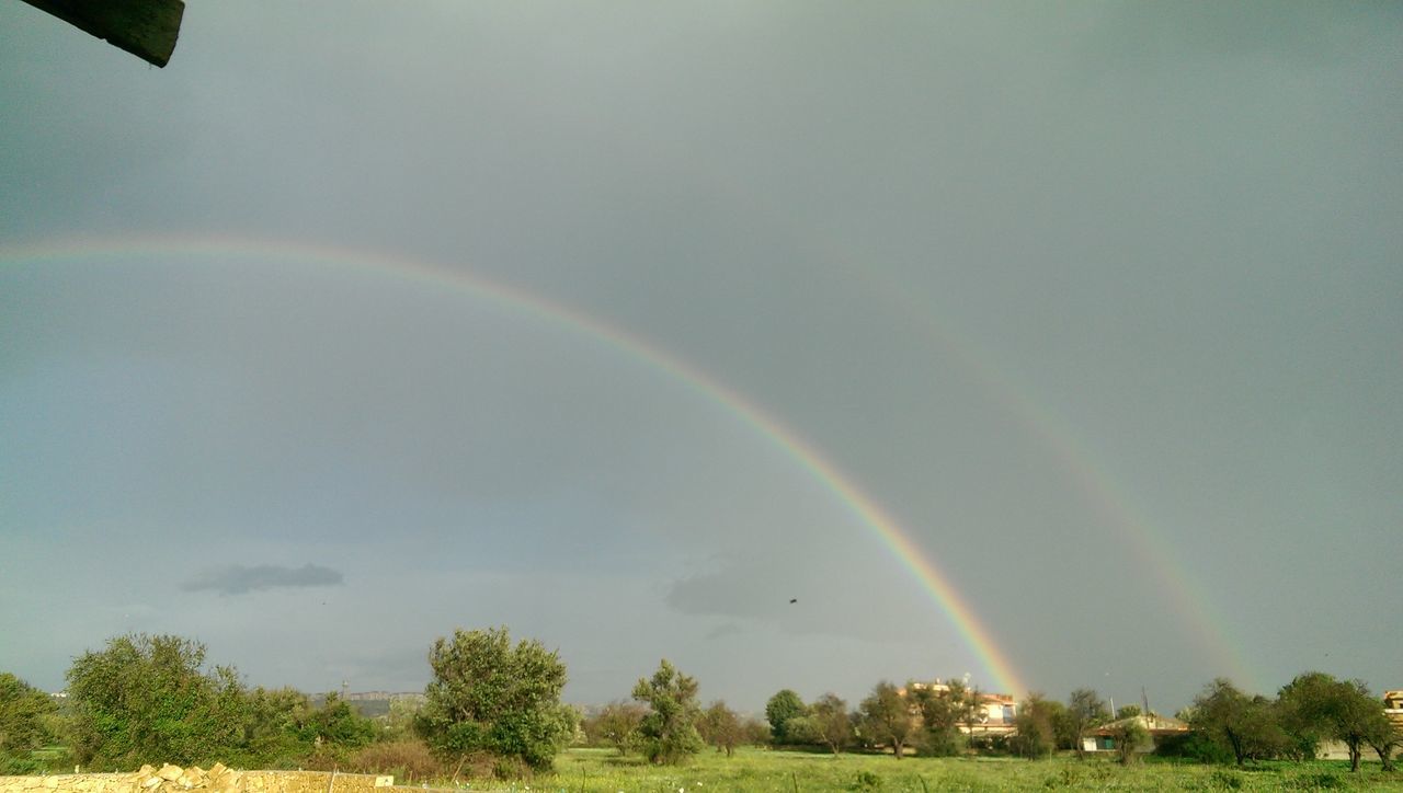 rainbow, sky, scenics, beauty in nature, multi colored, tranquility, nature, tree, tranquil scene, landscape, cloud - sky, field, green color, idyllic, grass, weather, outdoors, no people, growth, blue