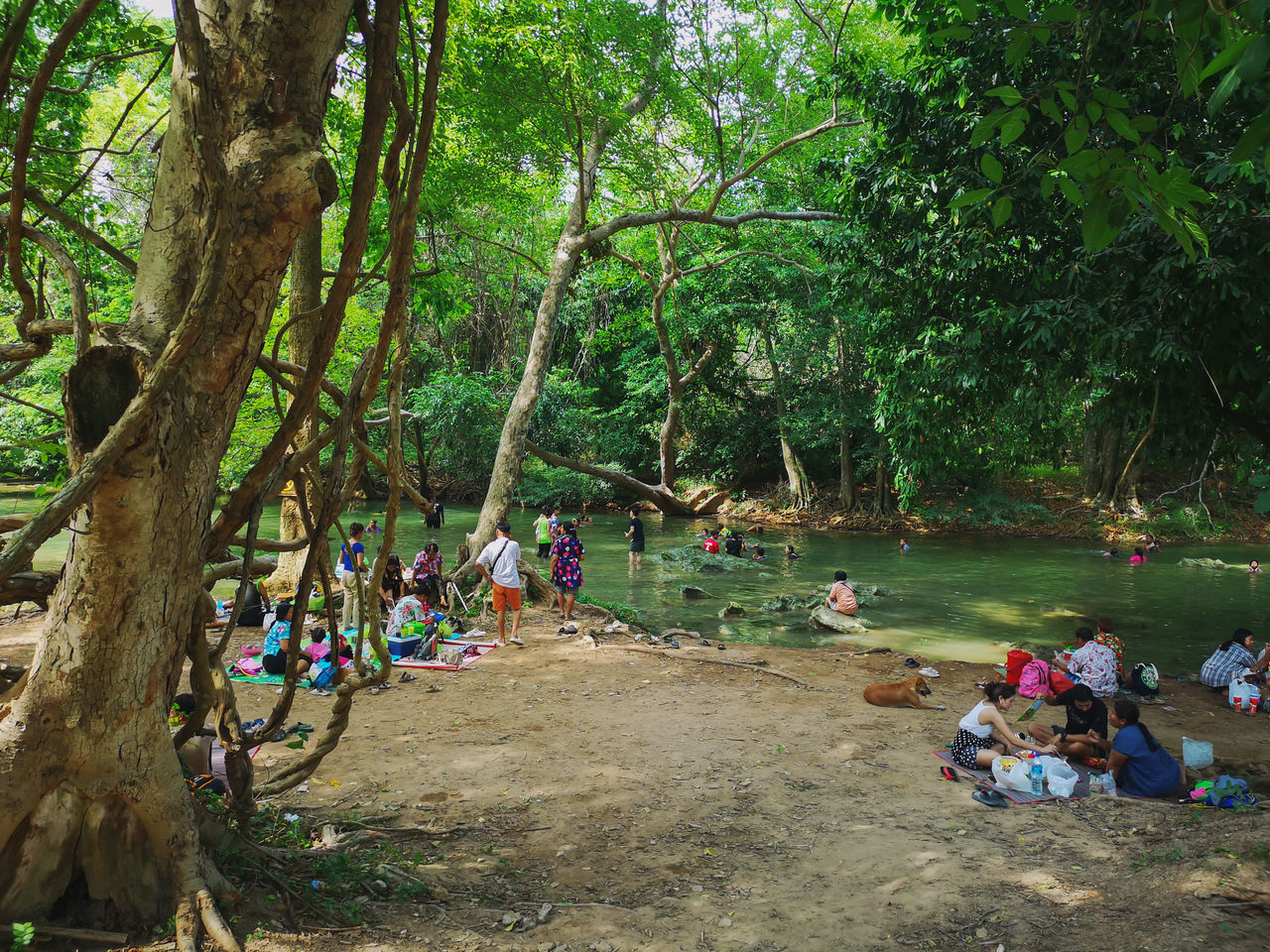GROUP OF PEOPLE IN PARK