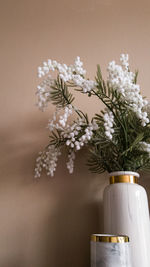 Close-up of white flowering plant in vase against wall