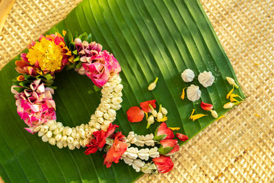 High angle view of multi colored flowers on leaves