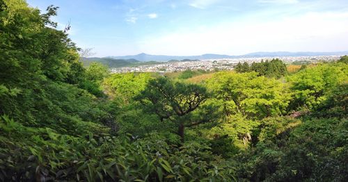 Scenic view of mountains