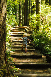 Rear view of girl walking in forest