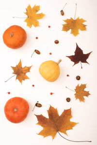 High angle view of orange leaves on table