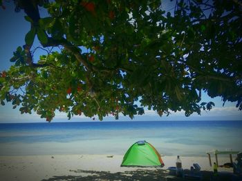 Scenic view of tree by sea against sky