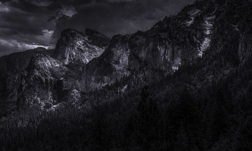 Low angle view of trees against sky