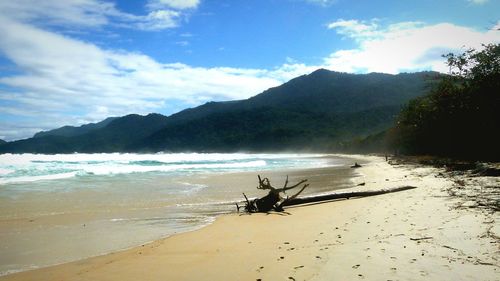 Scenic view of sea against sky