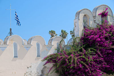 Low angle view of flowers against building