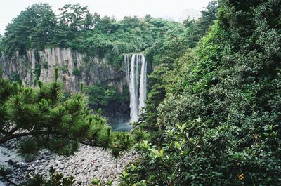 Scenic view of waterfall