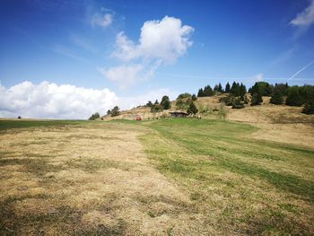 Scenic view of field against sky