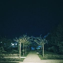 Illuminated trees against sky at night