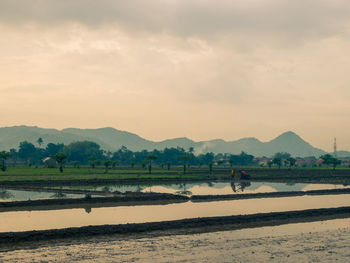 Scenic view of agricultural field against sky during sunset