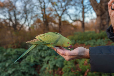 Feeding a