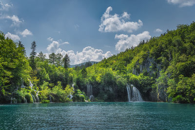 Scenic view of river amidst trees against sky