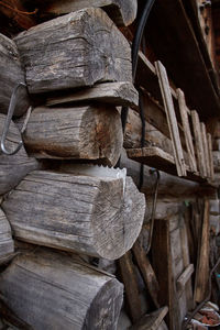 Stack of logs in forest