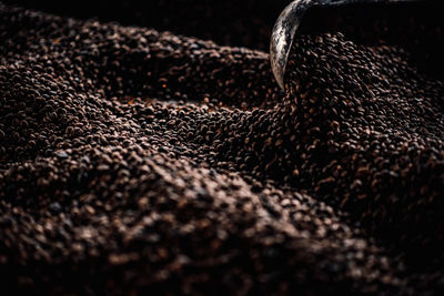 Full frame shot of rug