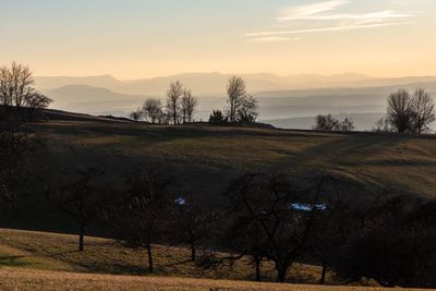 Scenic view of field against sky during sunset