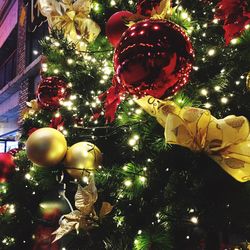 Low angle view of christmas tree