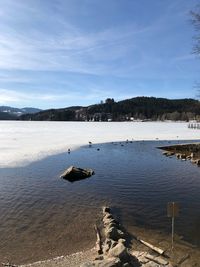 View of a dog in lake