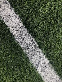 High angle view of grass on field