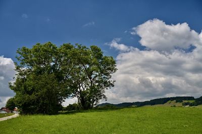 sky
