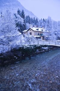 Snow covered trees in winter
