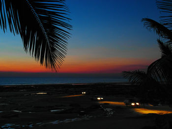 Silhouette palm trees on beach against sky during sunset