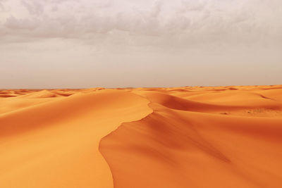 Desert . arabia  . sand dunes 