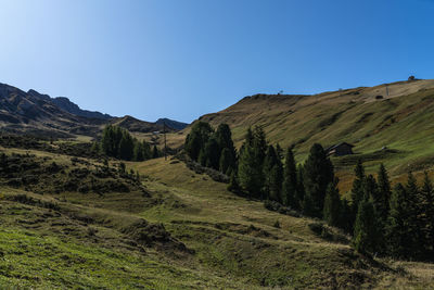 Scenic view of landscape against clear blue sky