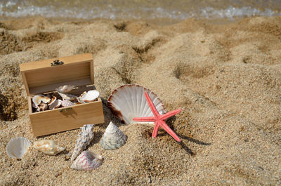 Red starfish and seashells in wooden chest and around it, on sandy beach with sea in background