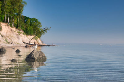 Scenic view of sea against blue sky