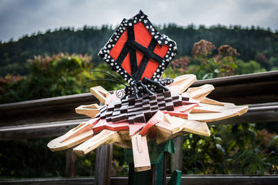 Close-up of butterfly on wood