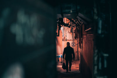 Rear view of people walking on street at night