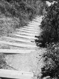 Full frame shot of trees on beach