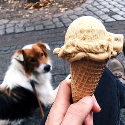 Low section of person holding ice cream cone by dog in city