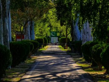 Narrow pathway along trees