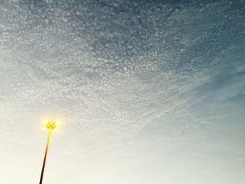 Low angle view of flowers against sky