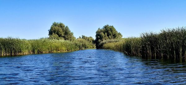 Scenic view of river against clear blue sky