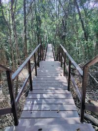 Footbridge amidst trees in forest